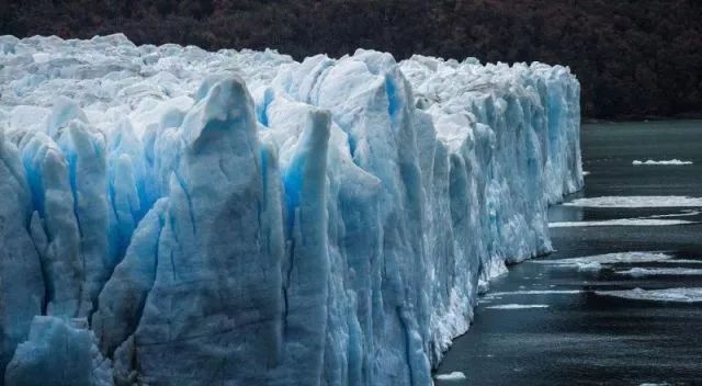 世界杯决赛潘帕斯雄鹰高卢,格子军团vs潘帕斯雄鹰复仇之刃