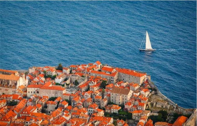 世界杯决赛潘帕斯雄鹰高卢,世界杯潘帕斯进球