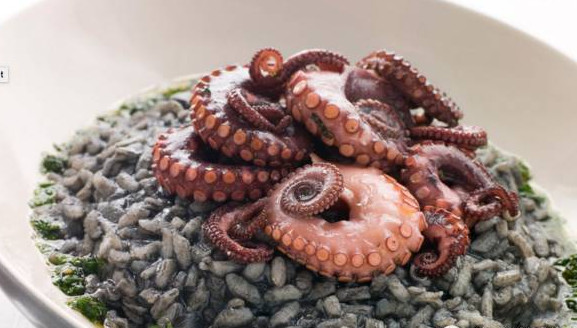 世界杯决赛潘帕斯雄鹰高卢,世界杯潘帕斯进球