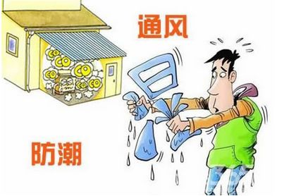 「健康」今日入梅!未来几天大雨将成“常客”!中医专家教你梅雨季如何养生……