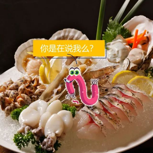 世界杯不容错过的比赛,不容错过的精彩欣赏