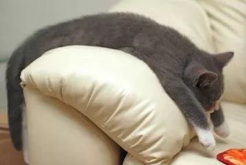 感冒十来天没好利索,感冒10多天还不好早上起来还头疼