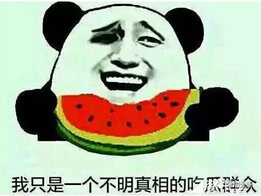 淅川来了仨“老外”，干啥？