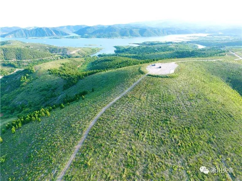 淅川来了仨“老外”，干啥？