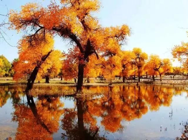 南昌到内蒙古旅游要多少钱 (江西坐火车去内蒙古沿途攻略)