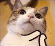 天津初中好学校排名,全天津哪所初中最好