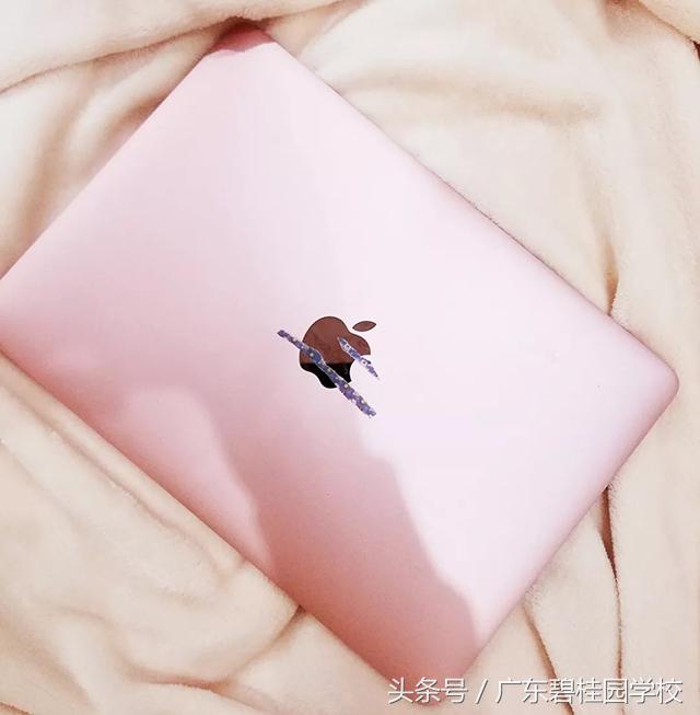 欧洲“传骑”开箱记！