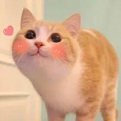 2022上半年日本cosme大赏东京新青年,2018日本cosme美容大赏榜单