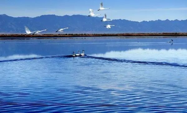 北京至内蒙古旅游坐什么火车,北京去内蒙古高铁旅游线路