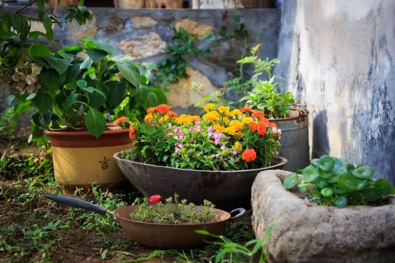 家里摆放凌乱废旧物品,家里的这些旧物别急着扔