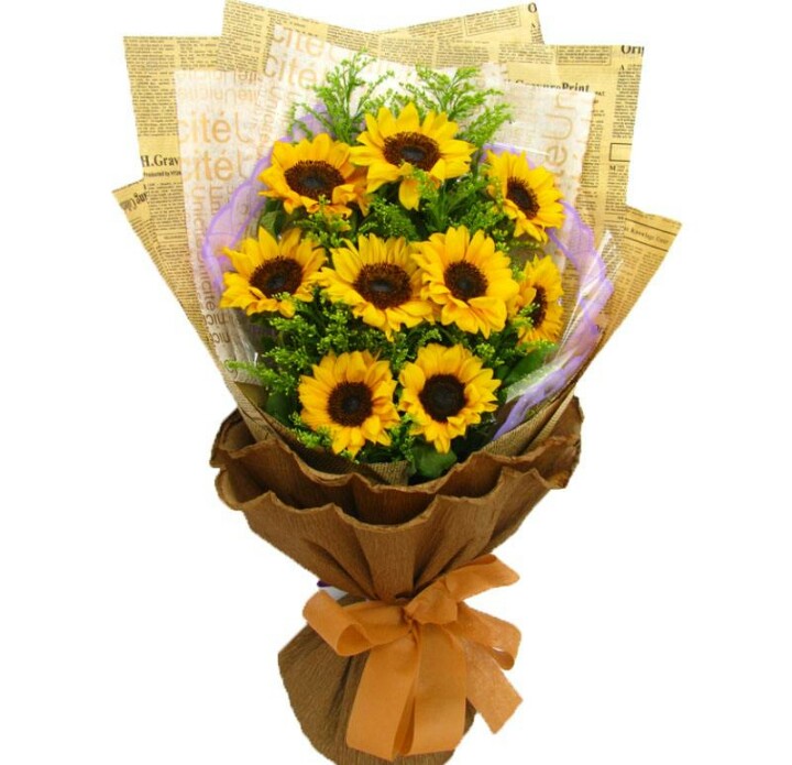 向日葵花语,向日葵花海景区地址