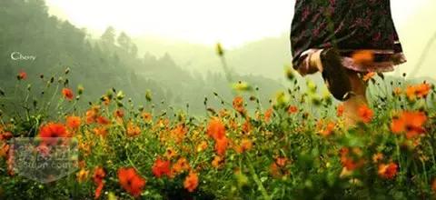 重庆耍事推荐,重庆耍事完整版