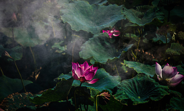 儿童长痱子怎样止痒效果更好 (孩子长痱子了怎么快速止痒)