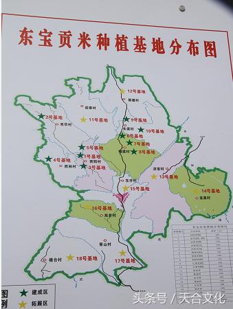 剑阁县：聚米成“塔”万里香