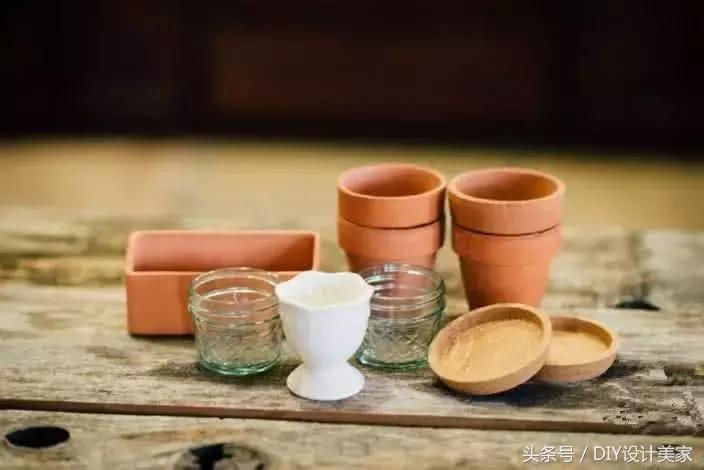 家里的旧鱼缸还可以养什么,废弃的鱼缸可以养花吗