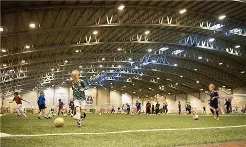 冰岛球队和墨西哥球队,冰岛足球是真的吗