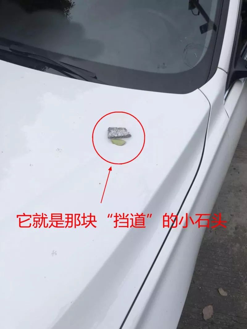 常山“小库里”，一个“三分球”1.3万元