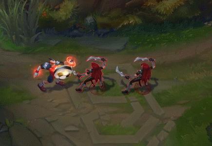 金靴李青,金靴李青多少钱