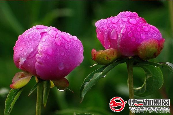 开一家花店一年大概能挣多少,长沙开一家花店要多少钱