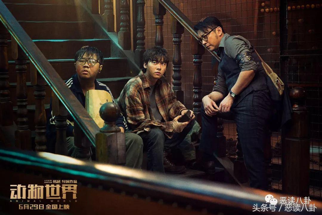 盘点暑假这几部剧你最看好哪一部,暑期最值得看的40部纪录片