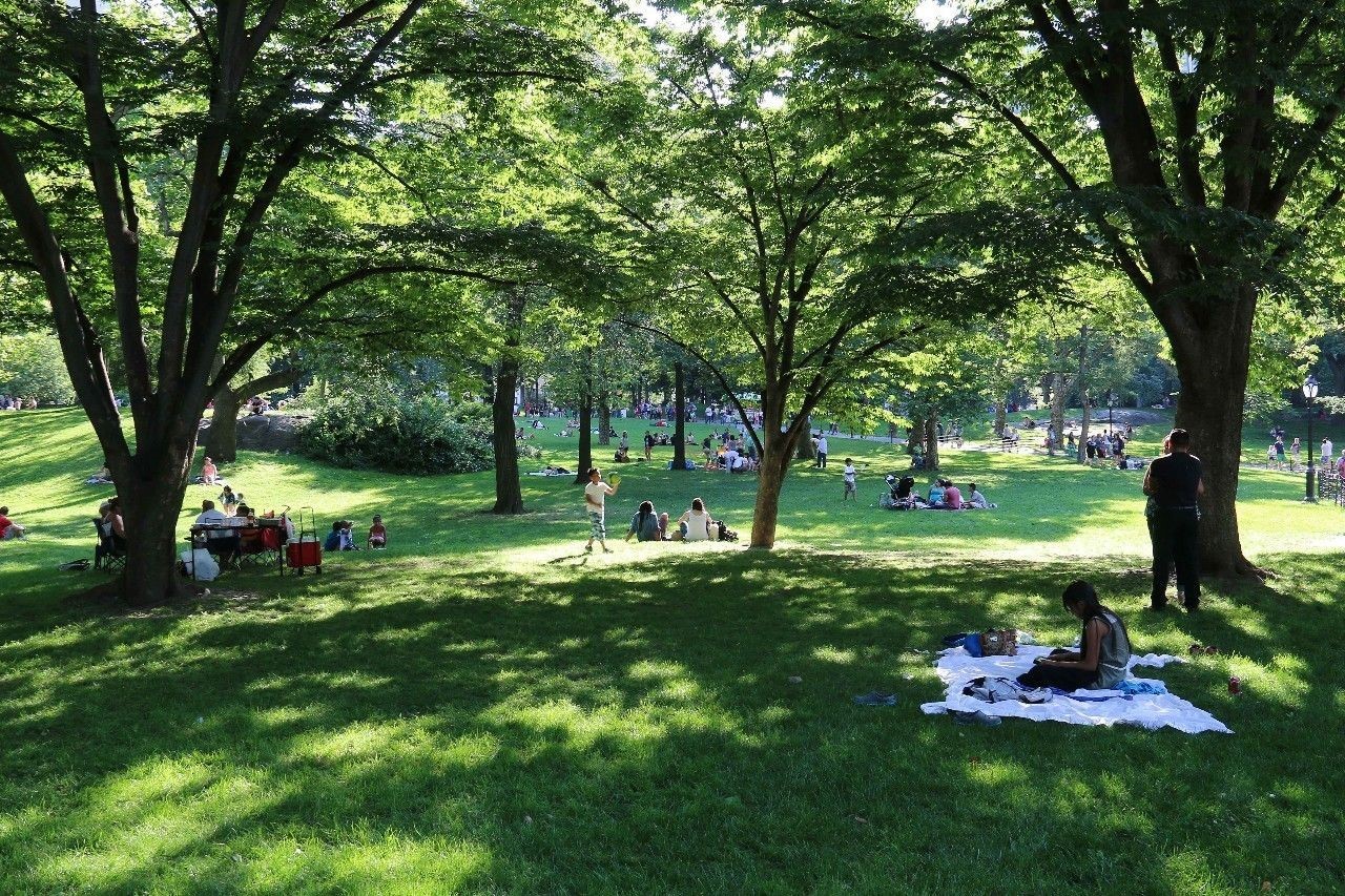 你眼中的美国是个什么样的国家,你眼中的美国是什么样的