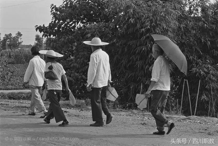 成都洞子口第四十四中学,成都第四十四中学是高职吗