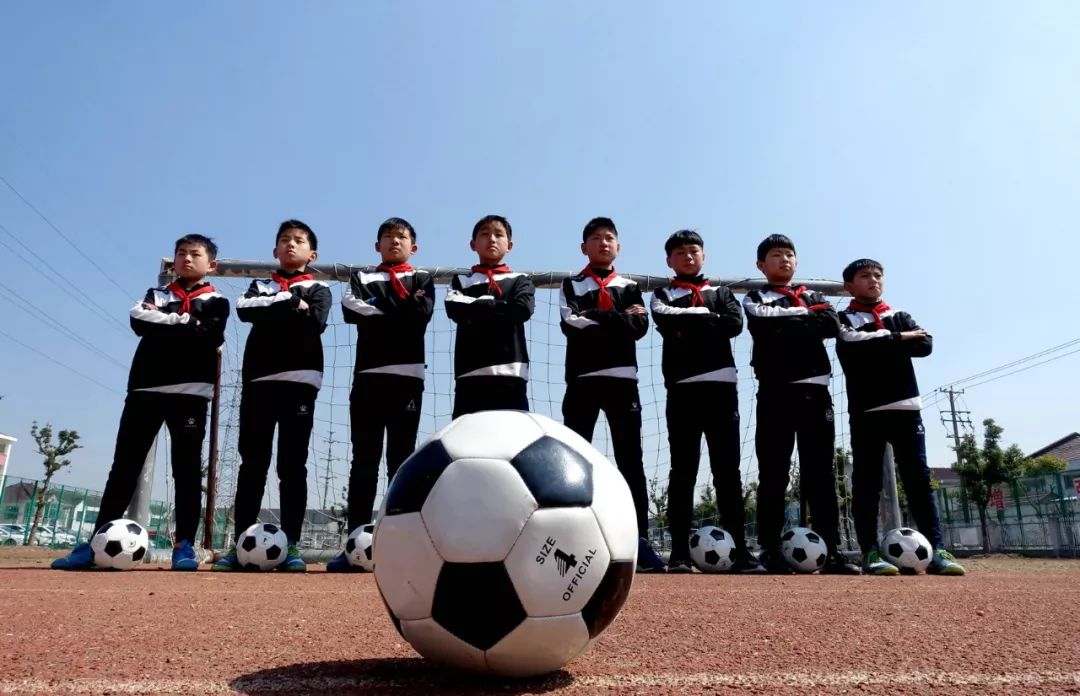 看着校园里熟悉的一切感慨万千,看到校园美好的景象