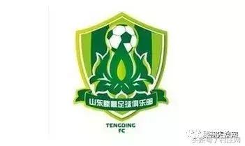 枣庄也有过一支职业足球队，前国脚王栋曾加盟！