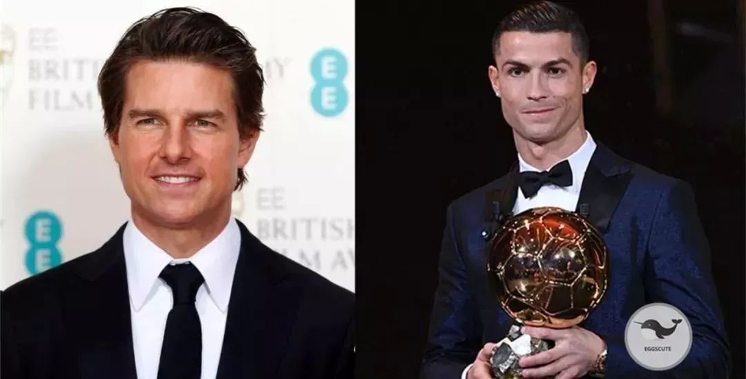 甄子丹撞脸模板,甄子丹吴镇宇经典对决