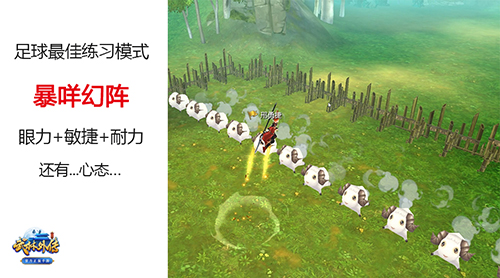 武林外传世界杯,观赛指南世界杯