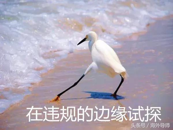 外国人也会作弊吗?围观老外花式作弊*法大**……大写的服!