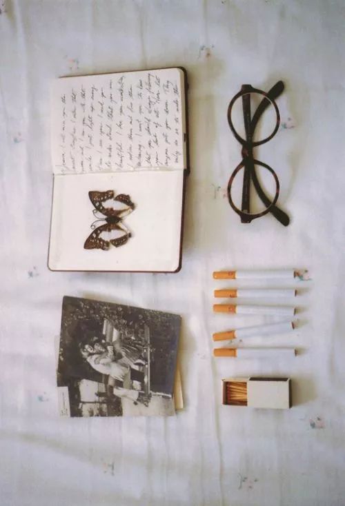 洗衣粉白糖米饭除蟑螂,一勺洗衣粉灭蟑螂