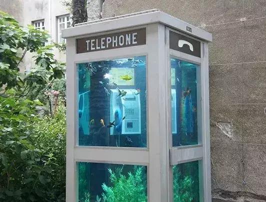 酷萌可爱插画,呆萌可爱的插画