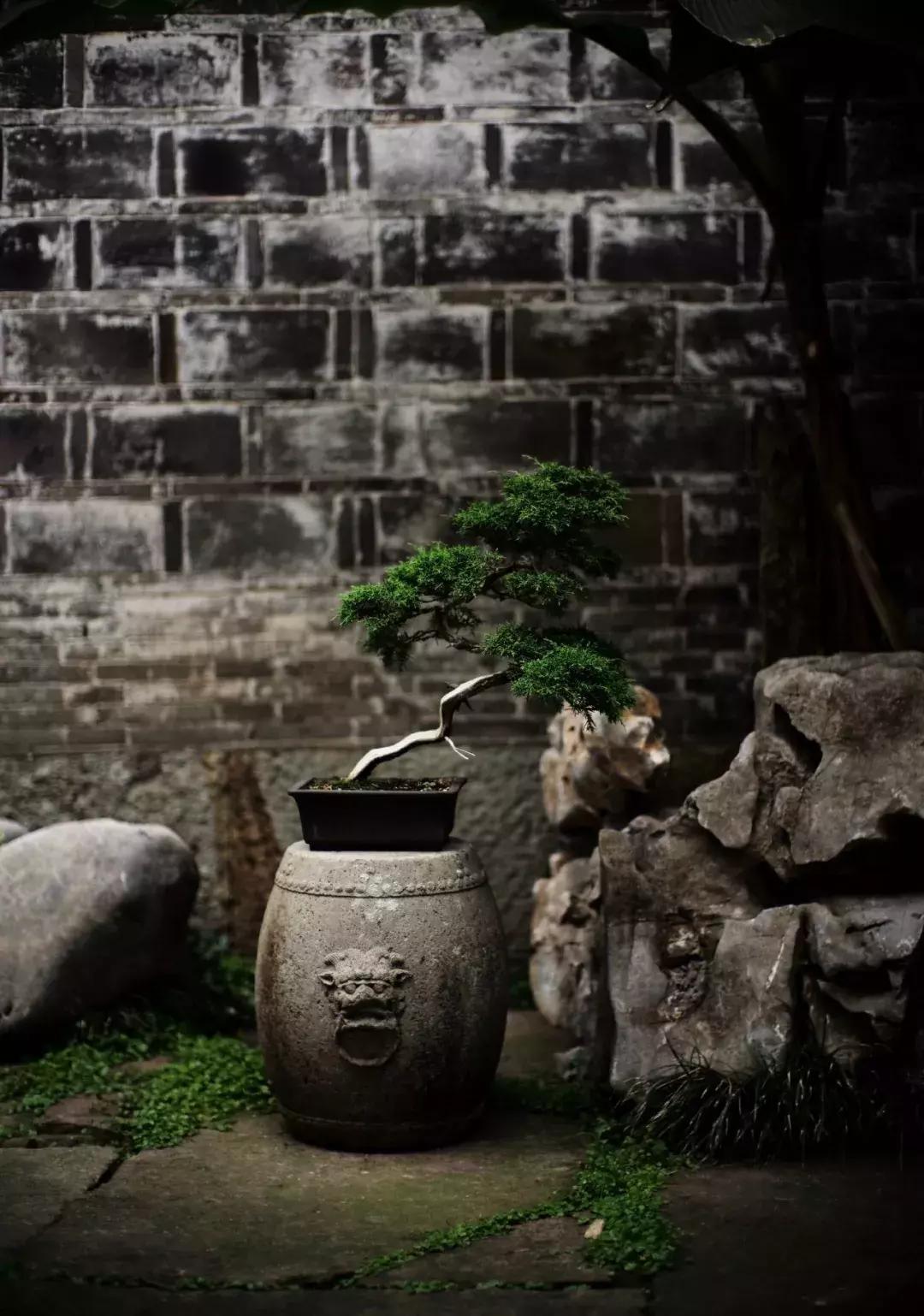 心若安怡万般自在,心若安然处处静美