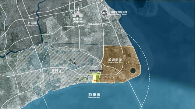 临港主城区房价走势,临港3万以下房价