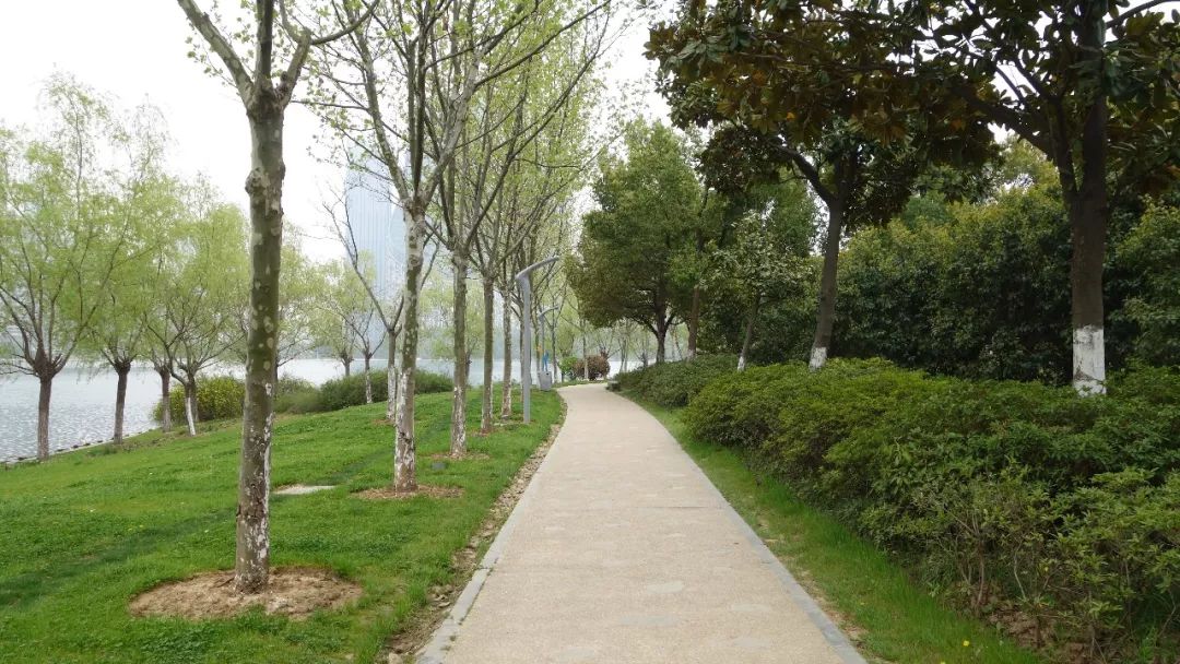 时光游合肥,时光旅行图集