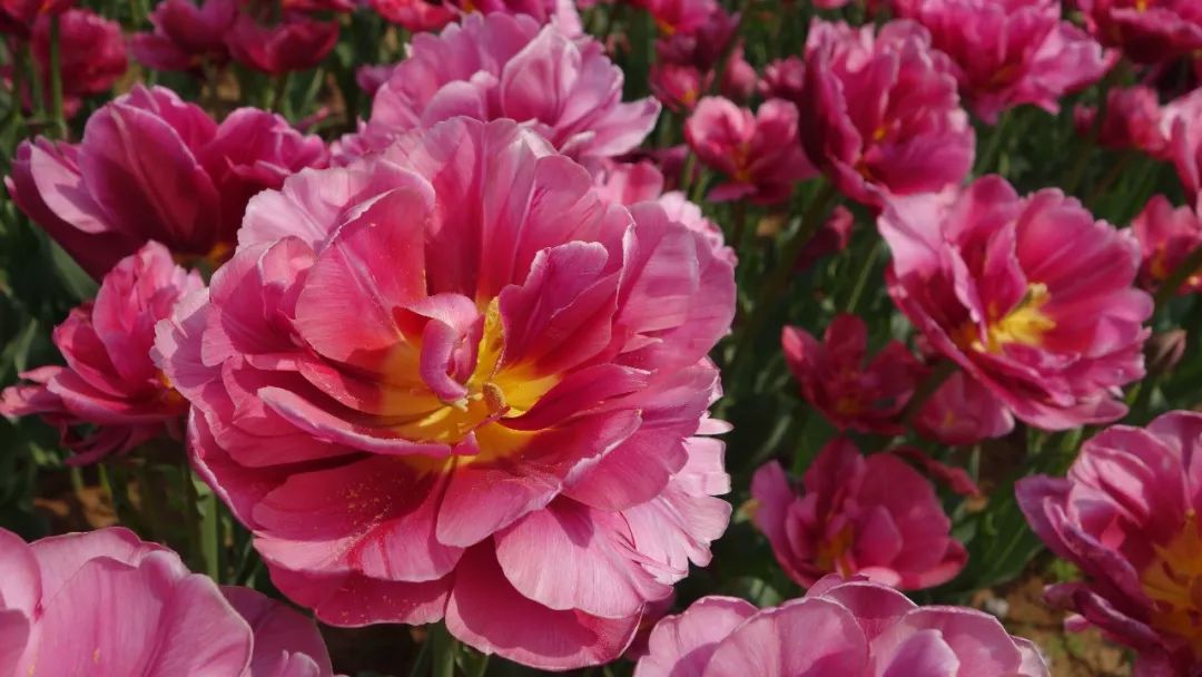 时光游合肥,时光旅行图集