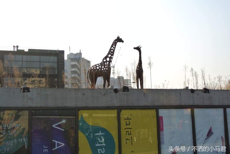 韩国旅游攻略自由行高端,韩国旅游自由行攻略