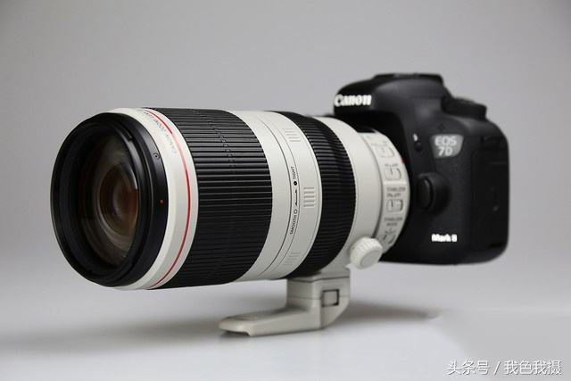 打鸟镜头佳能600还是800怎么选择,佳能7d2配100-400镜头攻略