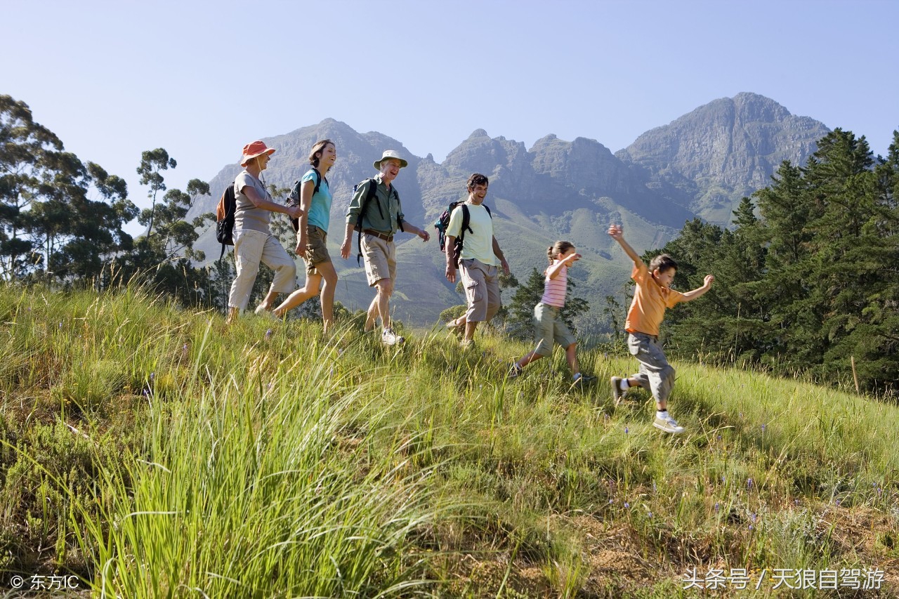 蛇虫叮咬怎么去除,避免蛇虫咬伤的安全措施