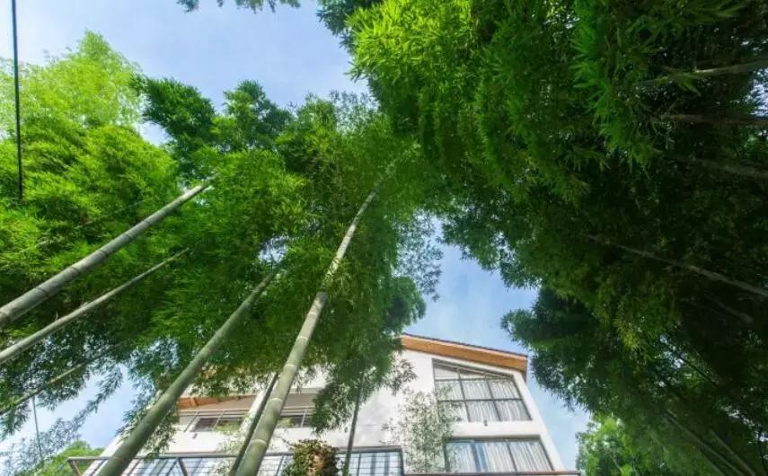 隐居山林依山傍水世外桃源,适合冬天去的民宿莫干山民宿