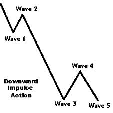 有一种禅，叫野孤禅，如何从野孤蝉蜕变成金蝉