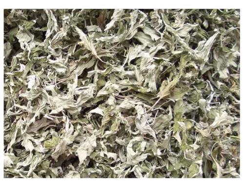 怎样识别艾草菖蒲,艾草怎么识别真假