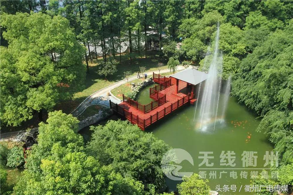 浙江衢州二中2023高考喜报,衢州二中高考上浙大率