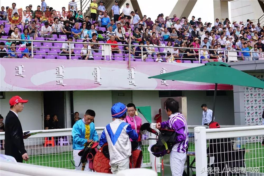 赛马点亮城市新名片：两位双冠王闪耀伊泰大漠“鄂尔多斯金杯”