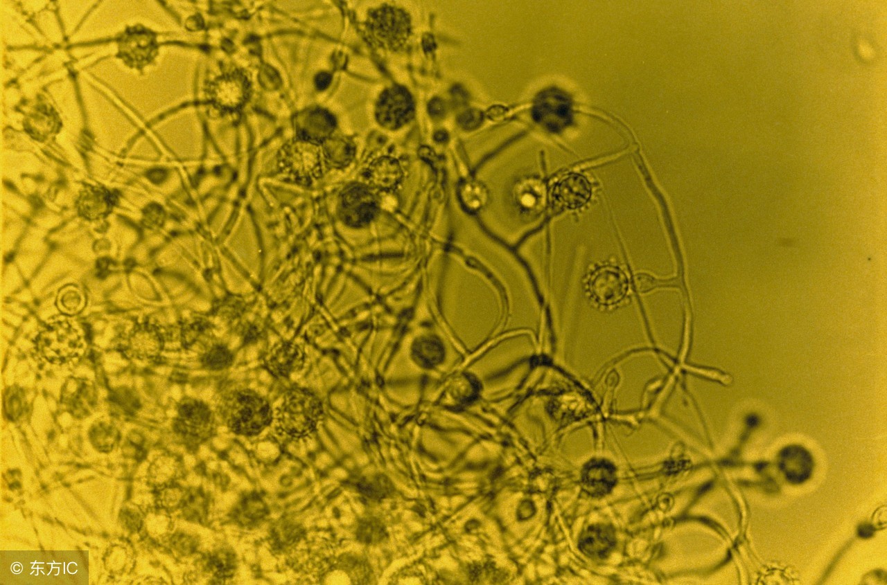 神龙大侠？不需要的！学会了气，人人都是中医阿宝，请收下这篇气