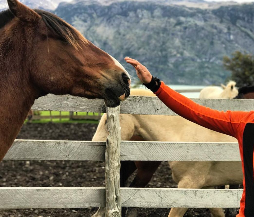 阿根廷真的能没有梅西吗,阿根廷这次有梅西吗