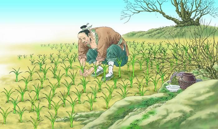 小学语文寓言故事成语大全,寓言故事的成语积累小学