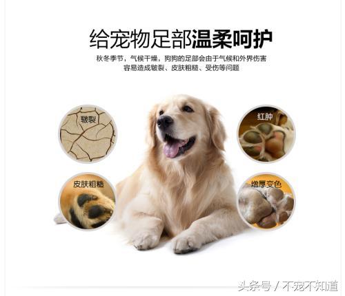 狗狗脚掌开裂怎么办,狗狗的肉垫开裂怎么办