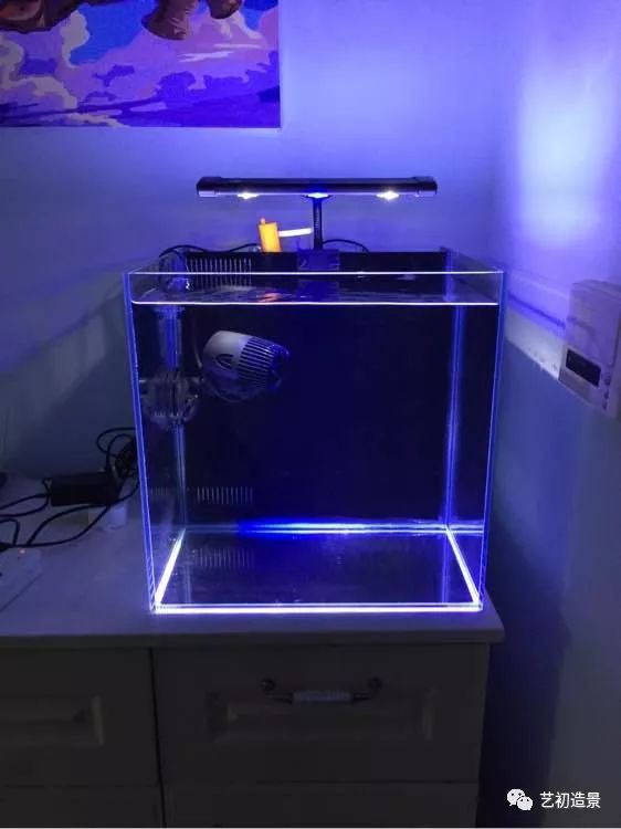 海缸方缸最合适的尺寸,超大海缸开缸教程新手入门